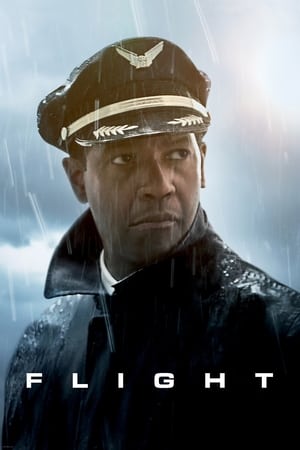 Flight (2012) Hindi Dual Audio | Hindi Dubbed Movie BluRay 400MB