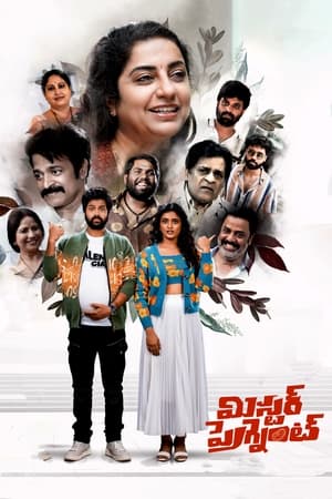 Mr. Pregnant (2023) (Hindi – Telugu) Dual Audio UnCut HDRip | Hindi Dubbed Movie – 480p