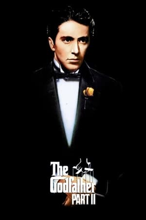 The Godfather Part II (1974) Dual Audio Hindi Full Movie | Hindi Dubbed Movie BluRay - 1GB